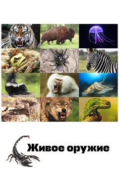 Сериал Живое оружие (1 сезон)